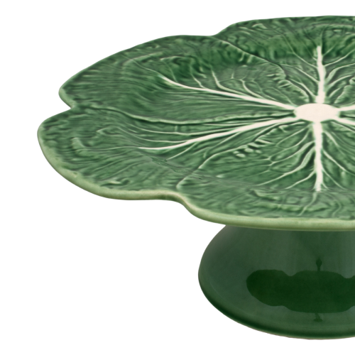 patera_65000715 (2).png