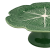 patera_65000715 (2).png