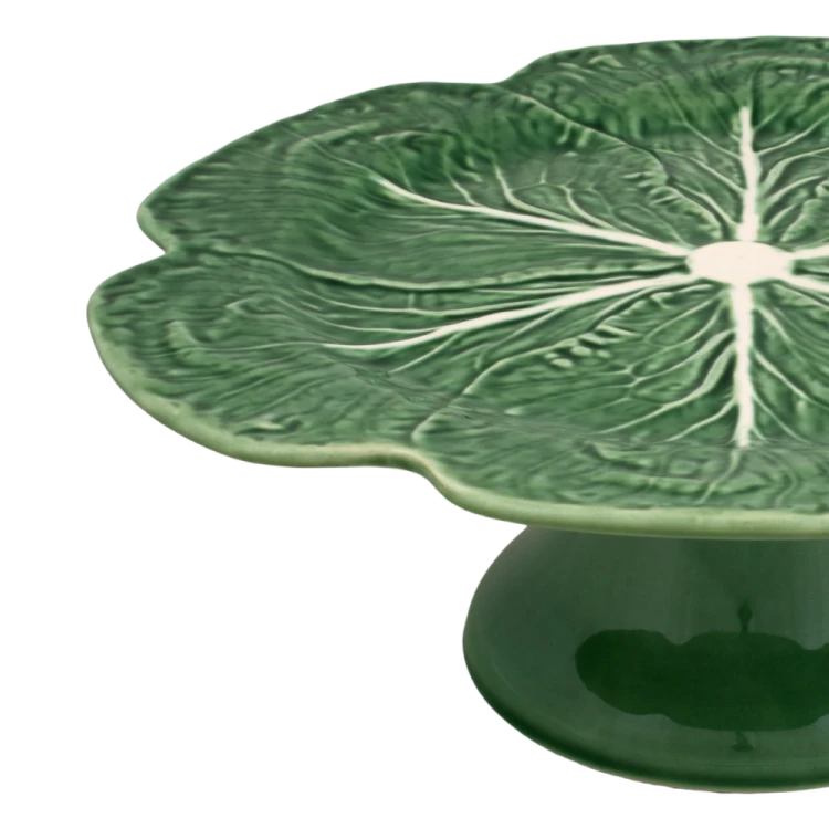 patera_65000715 (2).png