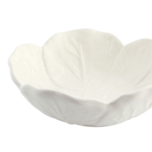 miska12_65015693 (2).png