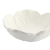 miska12_65015693 (2).png