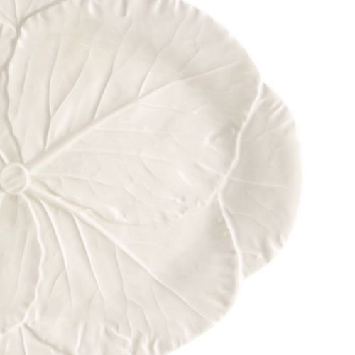 polmisek43_65017513 (2).png