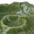 Patera_na_przystawki_65023630 (2).png