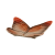 motyl14_65030583 (3).png