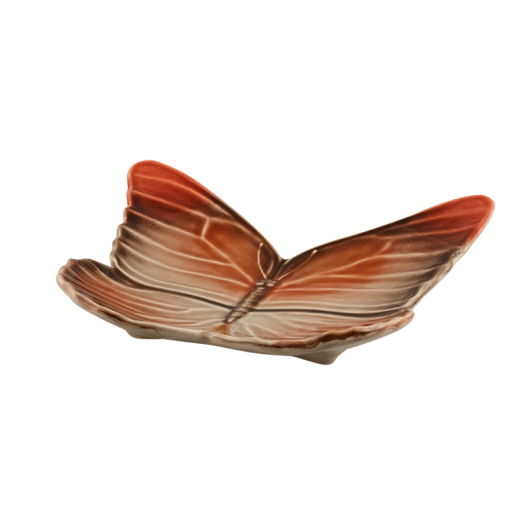 motyl14_65030583 (3).png