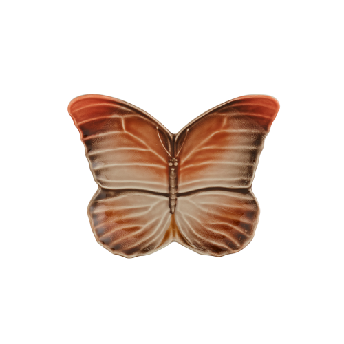motyl14_65030583.png