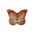 motyl14_65030583.png