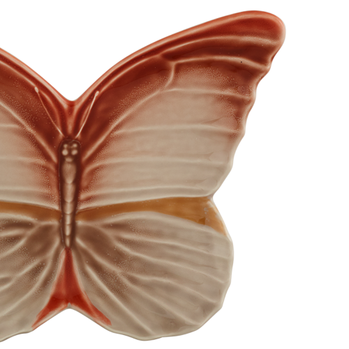motyl31_65030582 (2).png