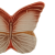 motyl31_65030582 (2).png