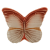 motyl31_65030582.png