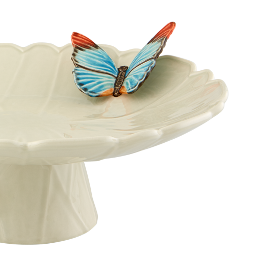 pateranatort_65027777 (2).png