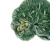 polmisek13_65024048.png