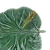 polmisek17_65024050 (2).png