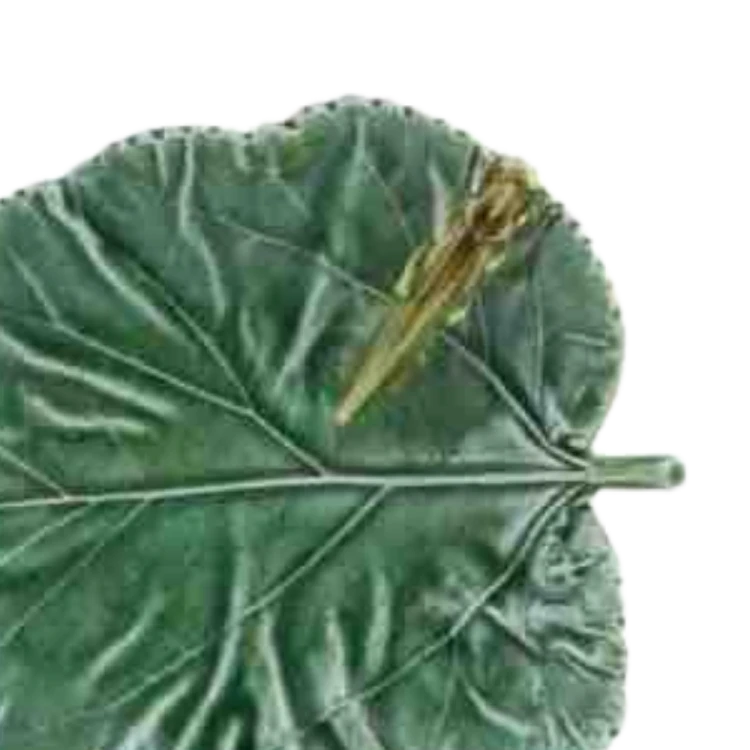 polmisek17_65024050 (2).png
