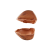 orzech11_ 65024098 (2).png