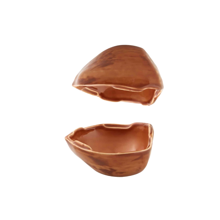 orzech11_ 65024098 (2).png