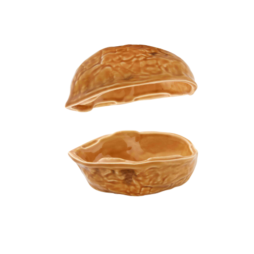 orzech14_ 65024077 (2).png