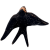jaskolka12_65002527 (2).png