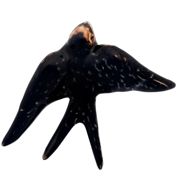 jaskolka12_65002527 (2).png
