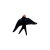 jaskolka12_65002527.png