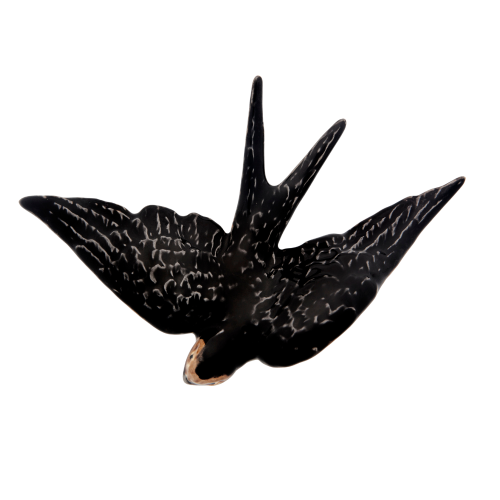 jaskolka13_65002529 (2).png