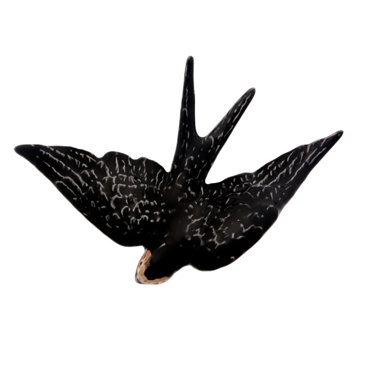 jaskolka13_65002529 (2).png
