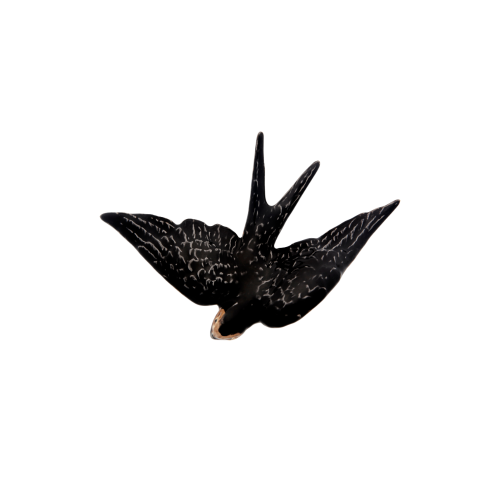 jaskolka13_65002529.png