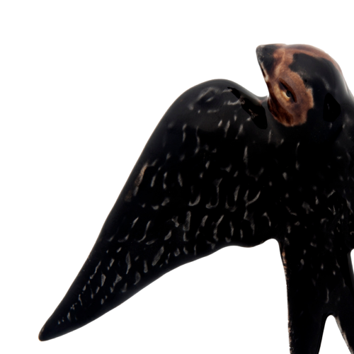 jaskolka15_65002528 (2).png
