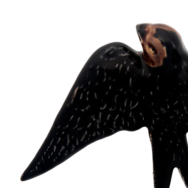 jaskolka15_65002528 (2).png