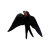 jaskolka15_65002528.png