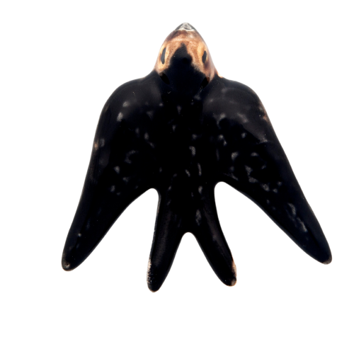jaskolka6_65002526 (2).png