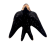 jaskolka6_65002526 (2).png