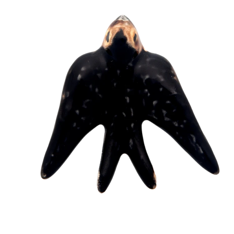 jaskolka6_65002526 (2).png