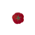 talerz15_65022235.png