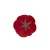 talerz21_65022234.png