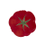 talerz29_65022232.png