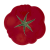 talerz30_65022230.png
