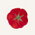 Ceramiczny talerz deserowy pomidor 21 cm Bordallo Pinheiro Tomato.png