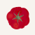 Ceramiczny talerz do pizzy pomidor 30 cm Bordallo Pinheiro Tomato.png