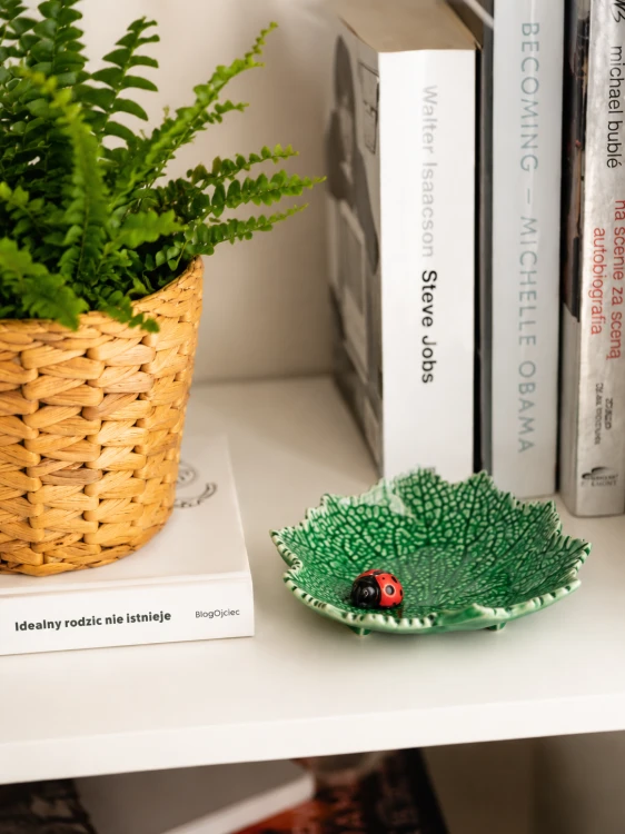Ceramiczny liść starca z biedronką 14 cm i ksiazki.png