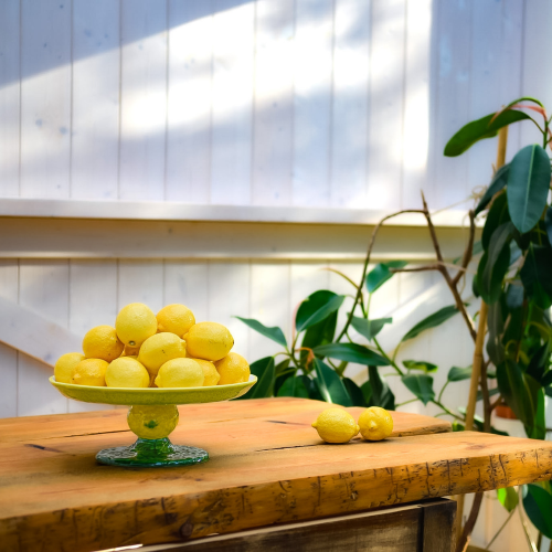 Lemon ceramika (3).png