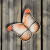 Ceramiczny talerzyk motyl 18 cm.png